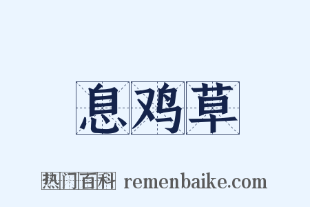 息鸡草是什么意思的图片